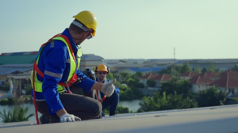 Best Chimney Flashing Repair  in Los Lunas, NM